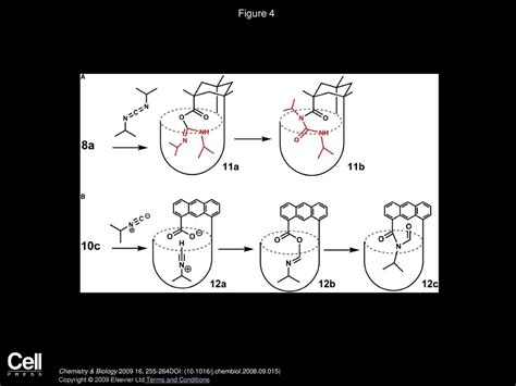 Chemistry And Catalysis In Functional Cavitands Ppt Download