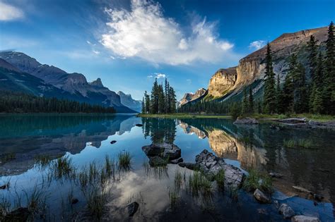 Nature Canada’s 10 Favourite Unique Photos - Nature Canada