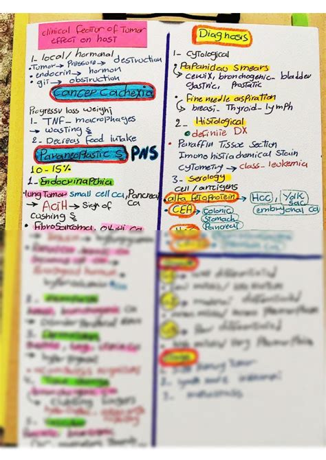 SOLUTION Human Medicine Pathology Neoplasia Infection Genetic