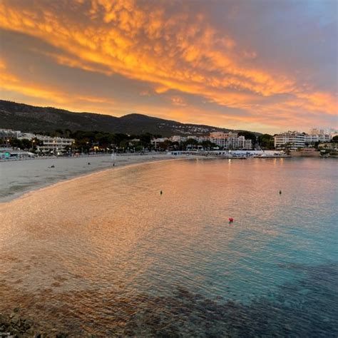 THE 15 BEST Things to Do in Majorca - 2022 (with Photos) - Tripadvisor