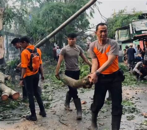 Antisipasi Pohon Tumbang Selama Musim Hujan Dlh Kota Cimahi Siapkan