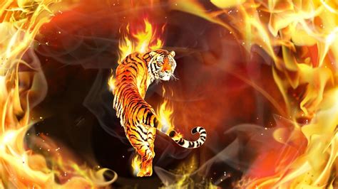 Flame Tiger Wallpapers - Top Free Flame Tiger Backgrounds - WallpaperAccess