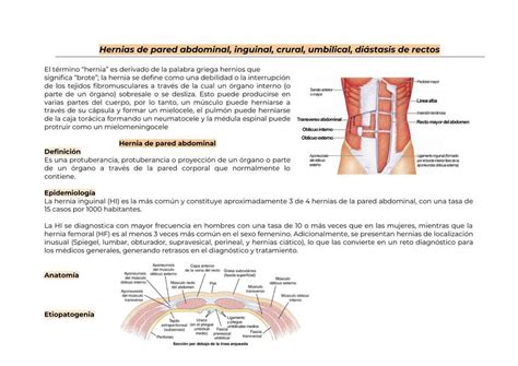 Hernias De Pared Abdominal Inguinal Crural Umbilical Angela