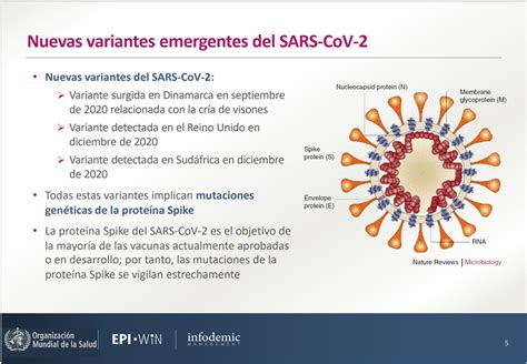 Variantes Del Covid