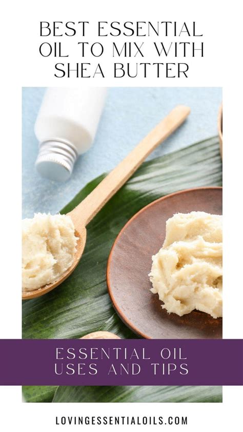 What Is The Best Essential Oil To Mix With Shea Butter Loving Essential Oils