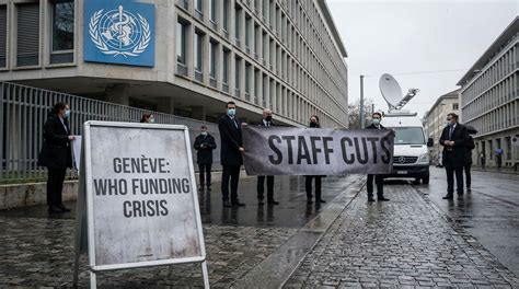 Sea brooklyn projects face major funding cuts impacting thousands 25