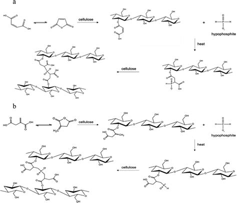 Crosslinking Of Cellulose Fibers Using Maleic Acid A Itaconic Acid