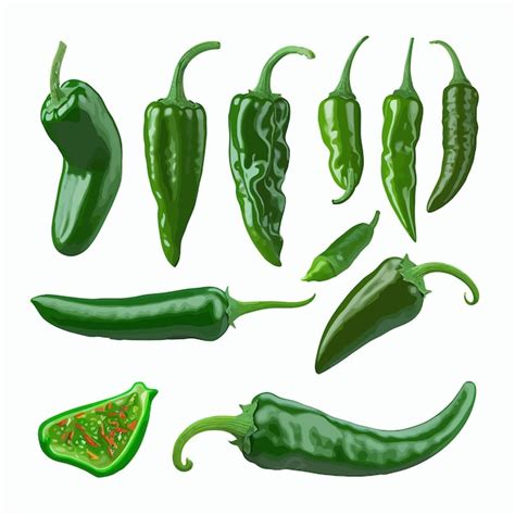 Pimenta Verde Png Conjunto D Realista Pimenta De Caiena Quente Isolada