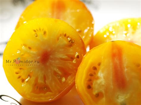 Семена томатов Dwarf Jasmine Yellow, Гном Жёлтый Жасмин - Сортовые ...
