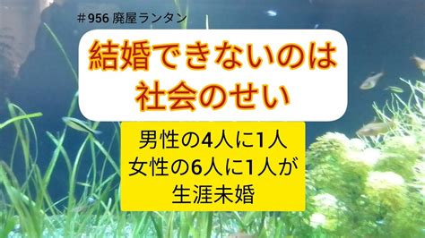 ＃956 男性の4人に1人、女性の6人に1人が生涯未婚。「結婚できないのは社会のせい」結婚適齢期であるはずの30～34歳に絞っても、男性の未婚