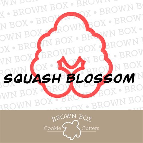 squash blossom recipes 6