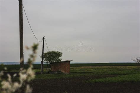 Linhas El Tricas Transversais No Campo Imagem De Stock Imagem De