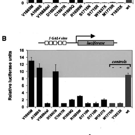 Transcriptional Activity Of BRCA1 Variants A Activity In Yeast