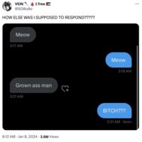 Meow Meow Grown Ass Man Image Gallery List View Know Your Meme