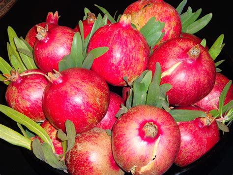 FRUITSZOOM GALLERY: GAMBAR BUAH DELIMA MERAH