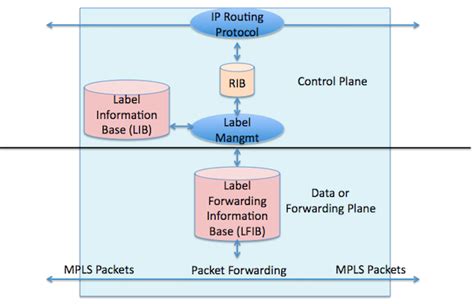 The Mpls Forwarding Plane