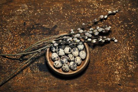 View Of Quail Eggs And Pussy Willow On Wooden Background Stock Image Image Of Religion