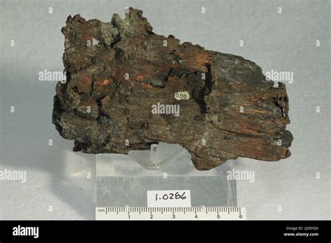 Copper Minerals North America Usa Michigan Houghton County