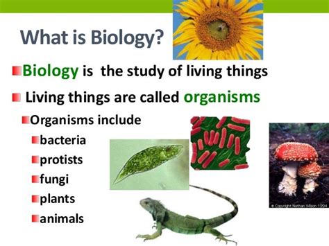 Characteristics of life for Advanced Biology