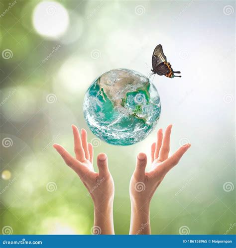 World Environment Day Sustainable Ecology And Environmental Friendly