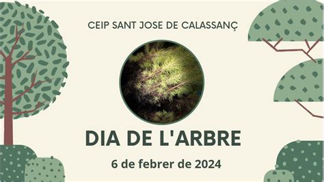 DIA DE LARBRE CEIP SANT JOSEP DE CALASSANÇ