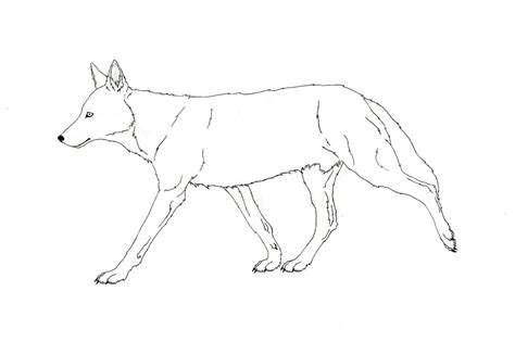 how to draw a red wolf