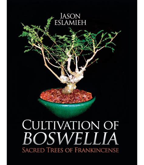 Cultivation of Boswellia: Sacred Trees of Frankincense | NHBS Academic ...