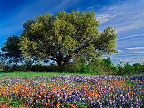 Summer Country Desktop Wallpaper 64 Images