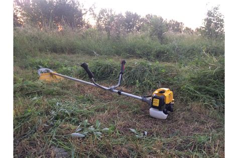 Бензиновый триммер Champion Т433-2 - выгодная цена, отзывы ...