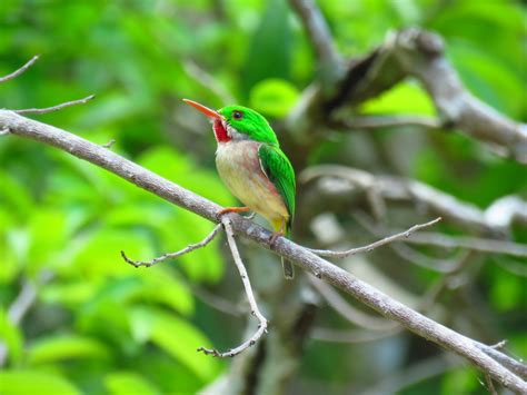 Ecotourism in the Dominican Republic » Explora Ecotour