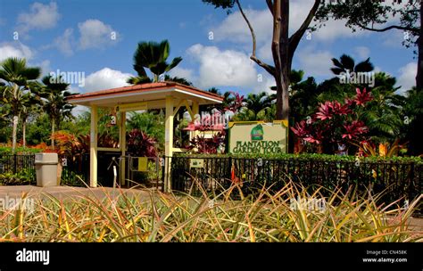 The Plantation Garden Tour at the Dole Plantation in Wahiawa, Oahu ...