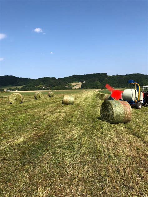 Silageballen Siloballen Silageballen 1 Schnitt 2023 Kaufen