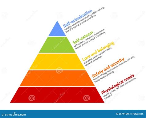 maslows pyramid   stock vector image