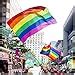 Amazon Rainbow Flag Gay Pride Flags X Foot Polyester Silk Printed Bright And