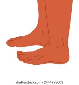 Human Naked Feet Barefoot Legs Side Stock Vector Royalty Free Shutterstock