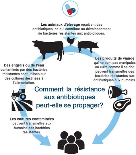 Fiche d information scientifique La résistance aux antimicrobiens