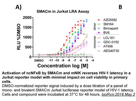 APExBIO - SM-164|Anticancer agent|CAS# 957135-43-2