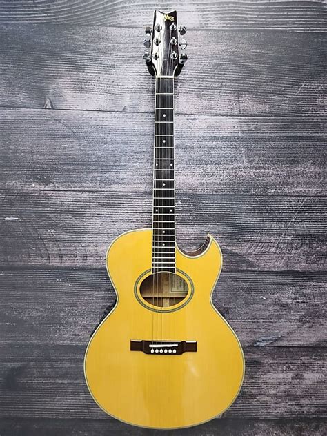 Washburn EA20 Acoustic Guitar San Antonio TX Reverb