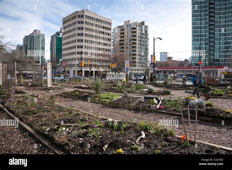 Davie Village Community Garden Vancouver Bc Canada Stock Photo Alamy