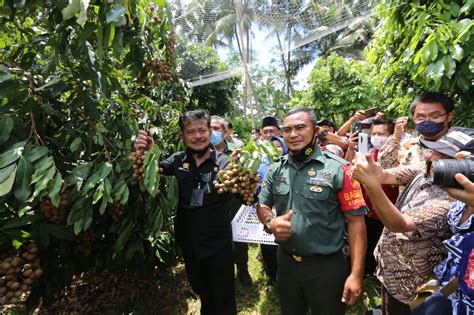 Mentan Syl Dorong Pengembangan Agrowisata Buah Monitor