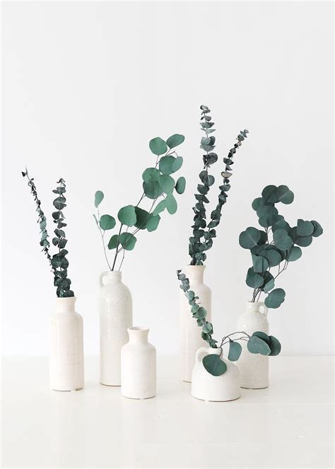 Three White Vases With Green Plants In Them