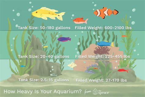 How Size Affects an Aquarium's Weight