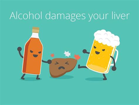 how long to abstain from alcohol before liver function test