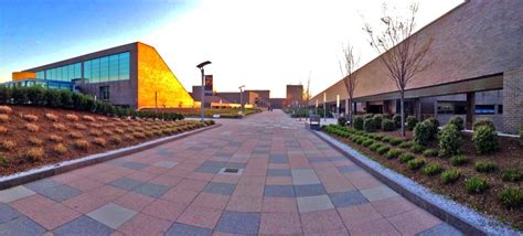 suny campuses ranked   colleges   size