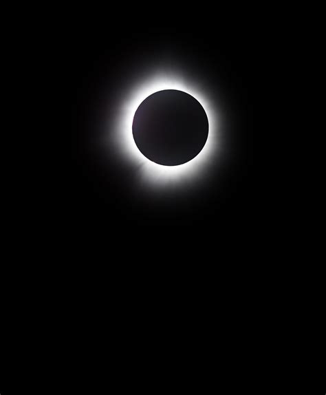 Massillon, OH Local News | Massillon Independent