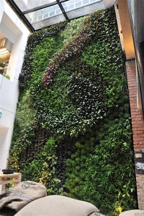 Gallery & Examples of Living Walls - Green Wall Installations | Living ...