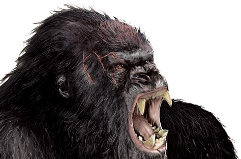 Gorilla Image Png Transparent Background Free Download 37886