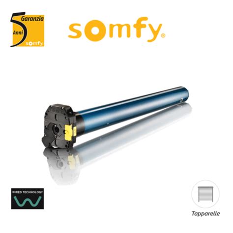 Roller Shutter Motor With Emergency Operation Somfy Lt Csi Wt Ebay