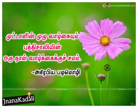 2017 Tamil New Ponmozhigal Pictures Inspiring Words With Blooming Hd