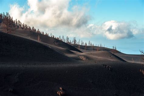 La Palma: Guided Volcano Trekking Tour | GetYourGuide